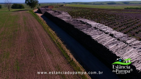 DOS EÓLICOS VIRA P FAZENDA_Moment.00_00_42_16.Quadro313_3e9928e6b8feb0aaa46efbc998c7e462755f5218.jpg